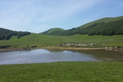 IMG-20180603-WA0011